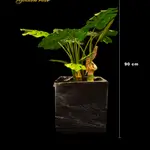 Industrial Monstera + Resin Anvil